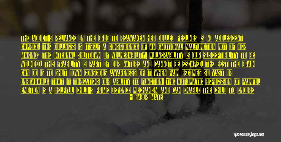 A Drug Addict Quotes By Gabor Mate A Drug Addict Quotes By Gabor Mate
