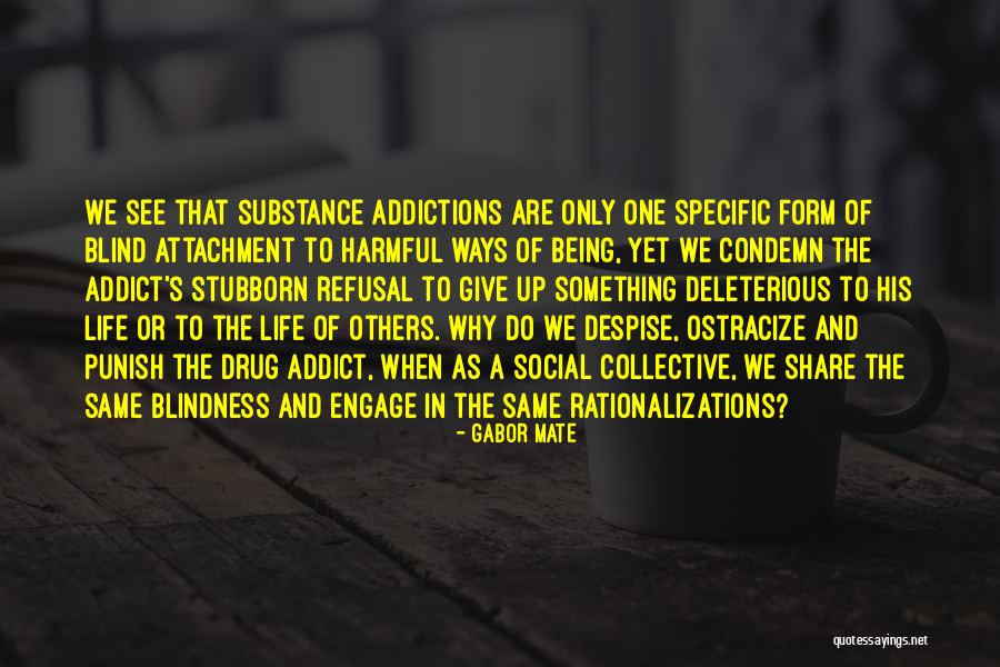 A Drug Addict Quotes By Gabor Mate