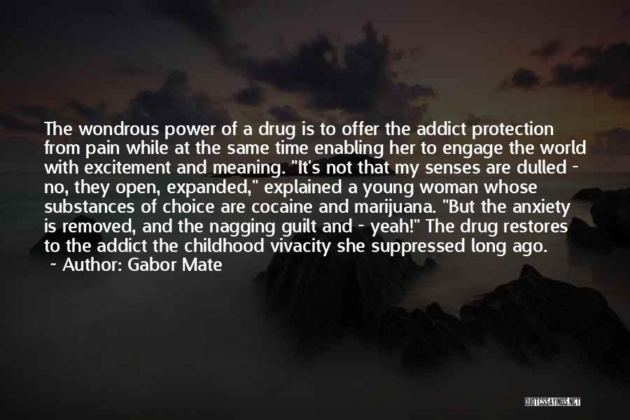 A Drug Addict Quotes By Gabor Mate