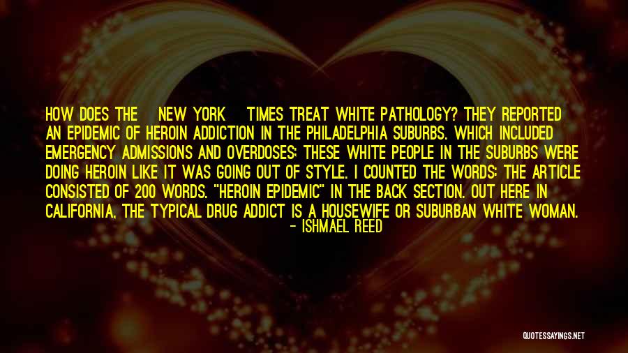 A Drug Addict Quotes By Ishmael Reed