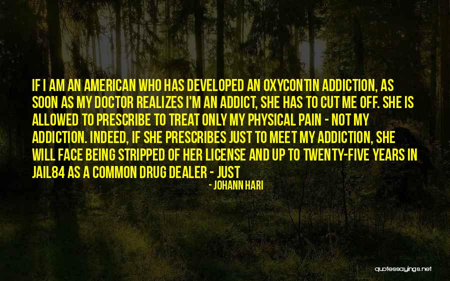 A Drug Addict Quotes By Johann Hari