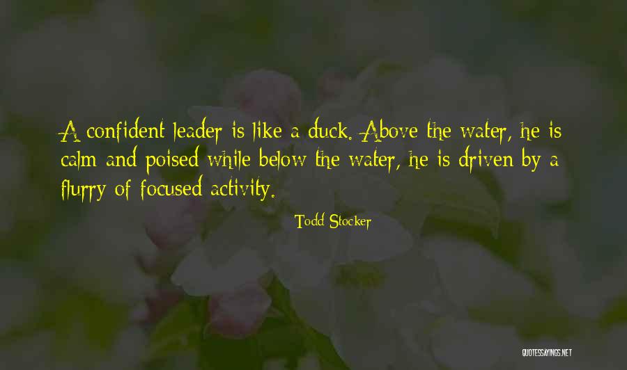A Duck Quotes By Todd Stocker A Duck Quotes By Todd Stocker