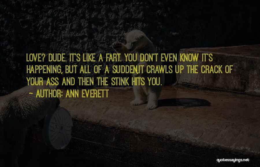 A Dude You Like Quotes By Ann Everett