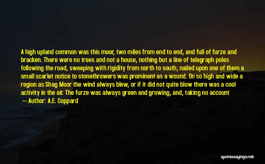 A.E. Coppard Quotes 429315