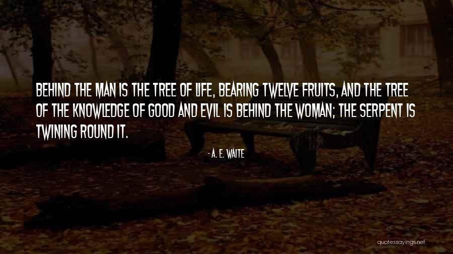 A. E. Waite Quotes 735675 A. E. Waite Quotes 735675