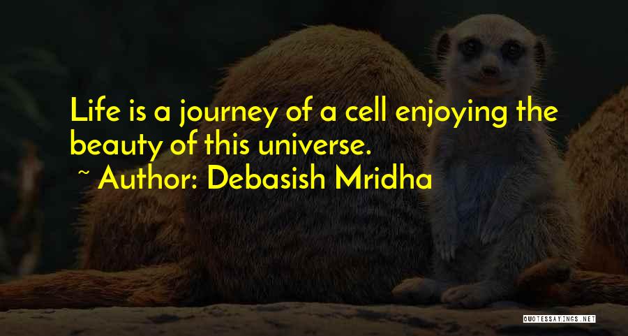 A Enjoying Life Quotes By Debasish Mridha
