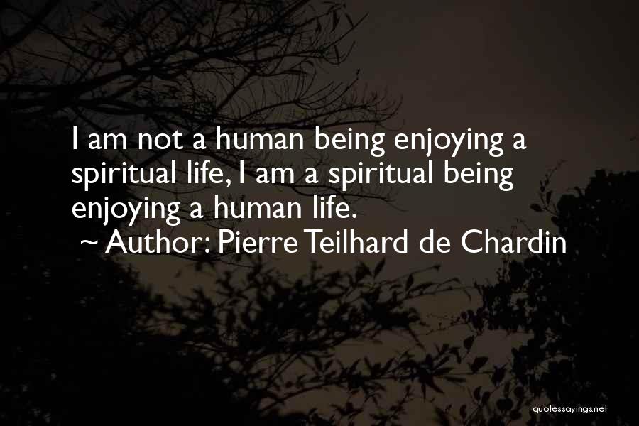 A Enjoying Life Quotes By Pierre Teilhard De Chardin