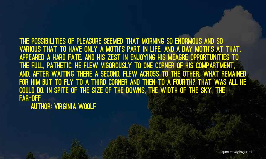 A Enjoying Life Quotes By Virginia Woolf