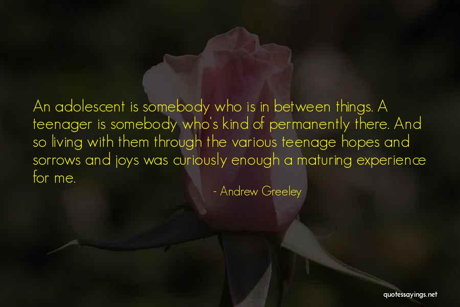 A Experience Quotes By Andrew Greeley