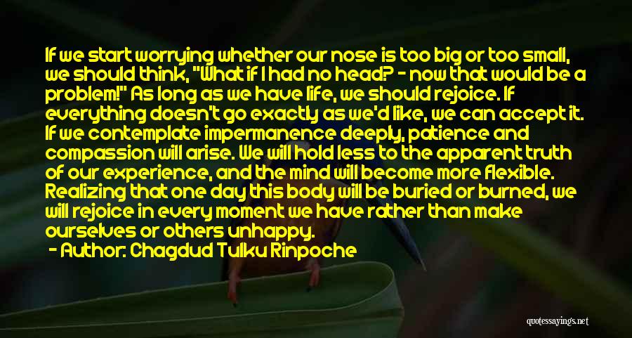 A Experience Quotes By Chagdud Tulku Rinpoche