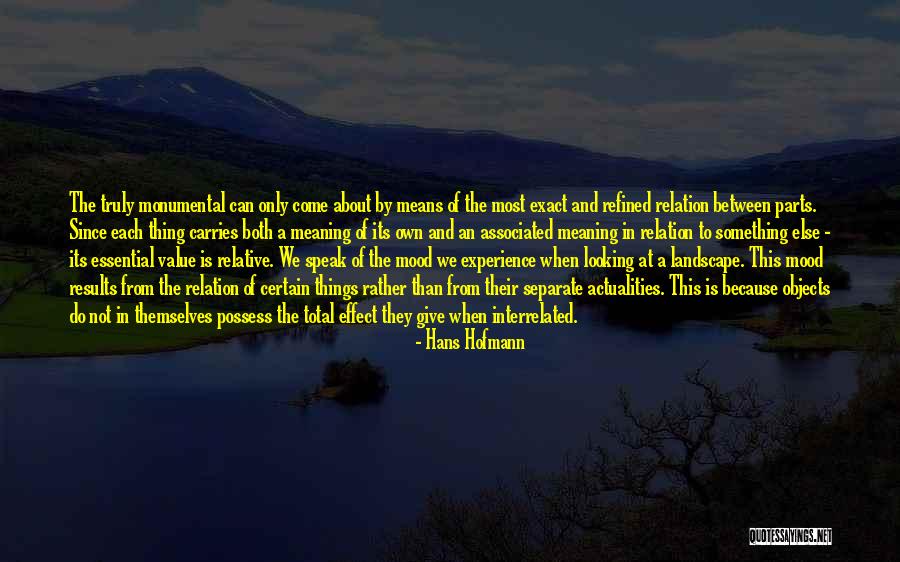 A Experience Quotes By Hans Hofmann