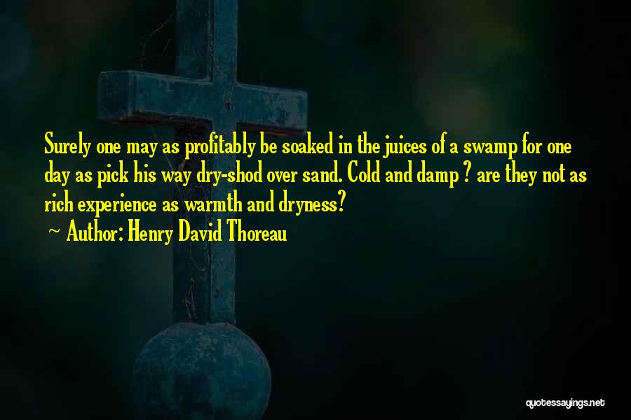 A Experience Quotes By Henry David Thoreau