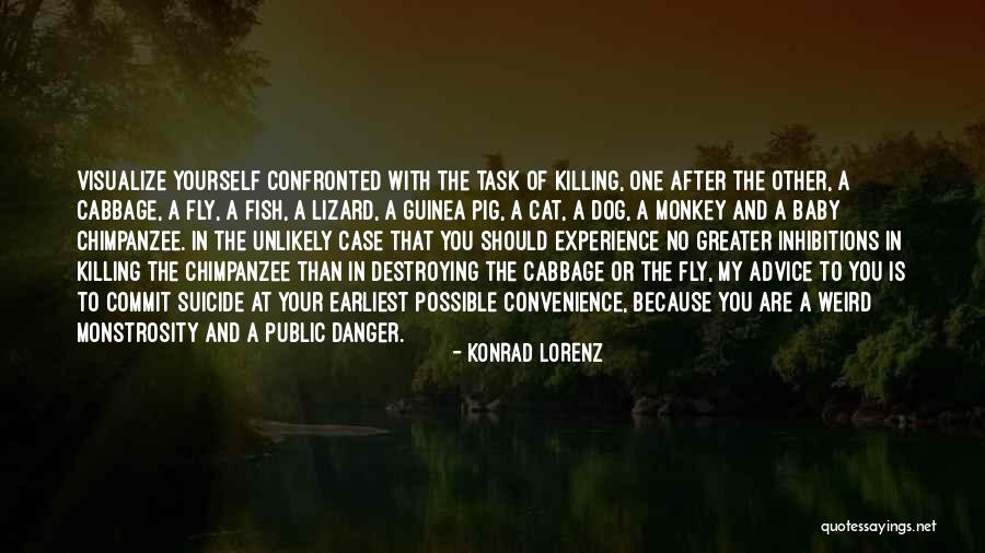 A Experience Quotes By Konrad Lorenz