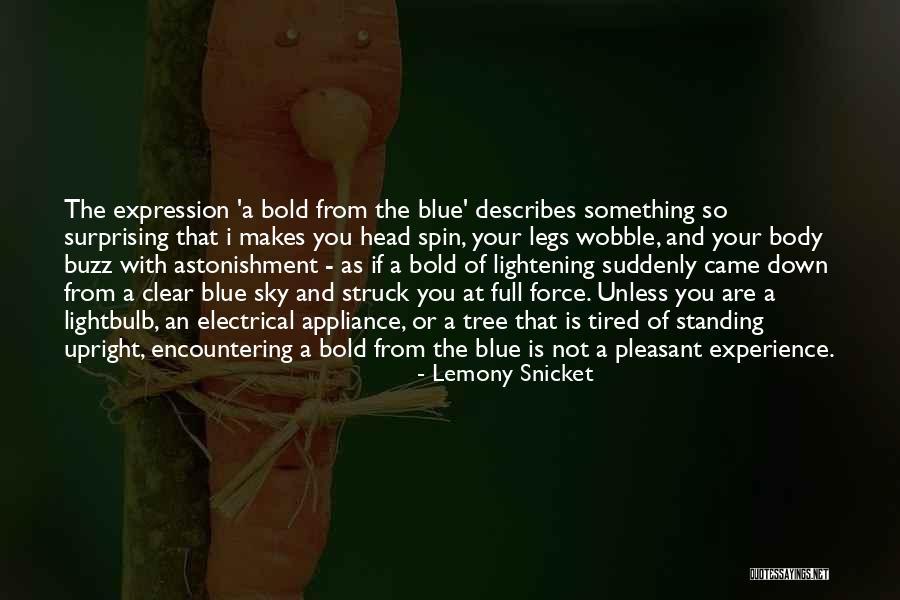 A Experience Quotes By Lemony Snicket