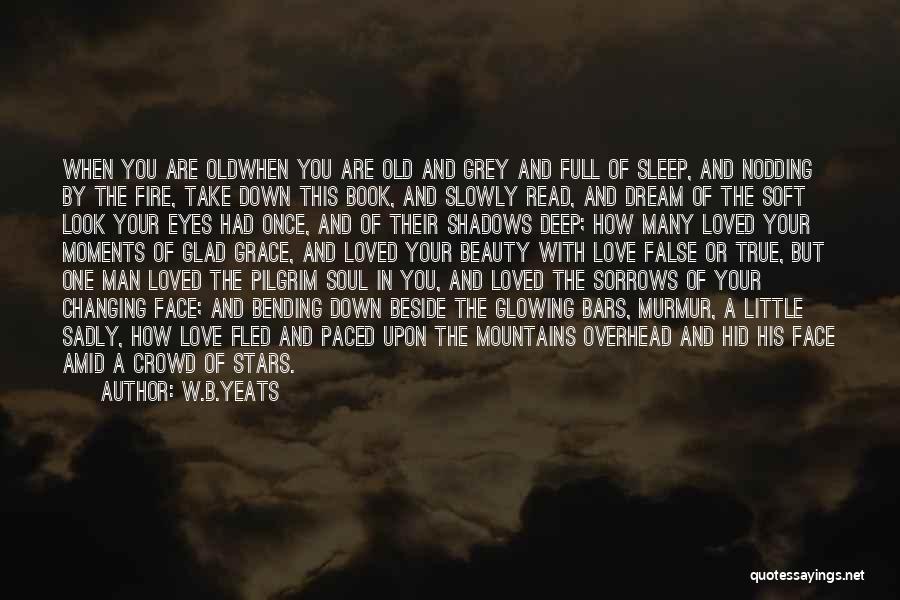 A Face In The Crowd Quotes By W.B.Yeats