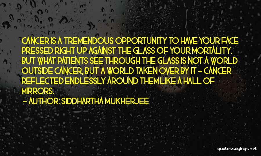 A Face Like Glass Quotes By Siddhartha Mukherjee