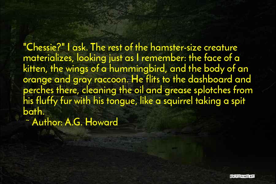 A Face To Remember Quotes By A.G. Howard