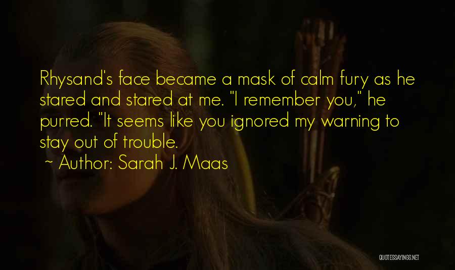 A Face To Remember Quotes By Sarah J. Maas