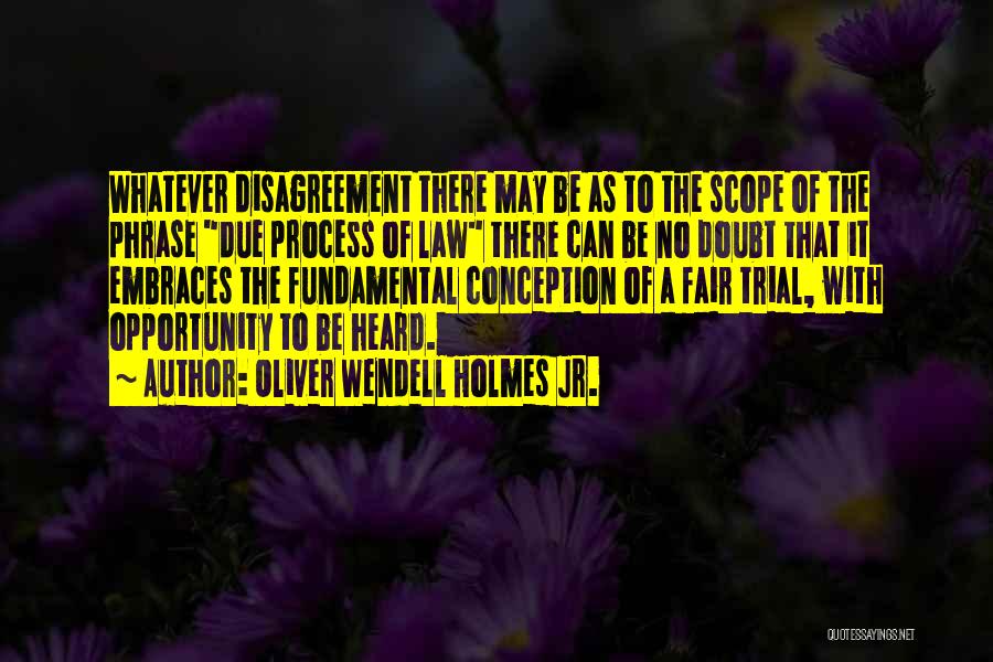 A Fair Trial Quotes By Oliver Wendell Holmes Jr.