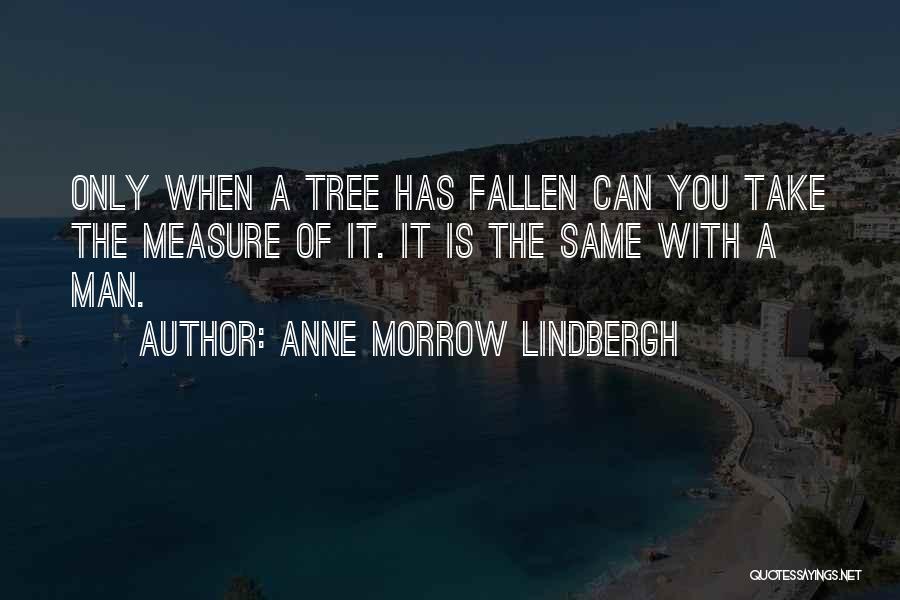 A Fallen Tree Quotes By Anne Morrow Lindbergh