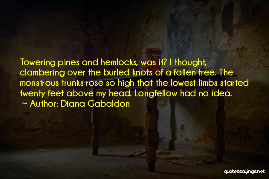 A Fallen Tree Quotes By Diana Gabaldon