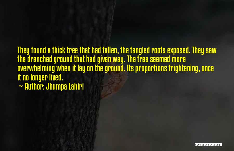 A Fallen Tree Quotes By Jhumpa Lahiri