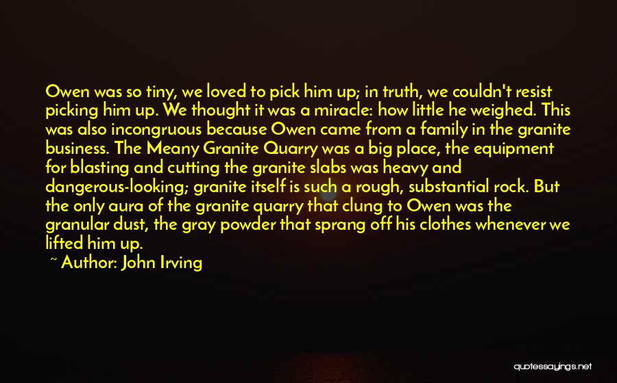 A Family Business Quotes By John Irving