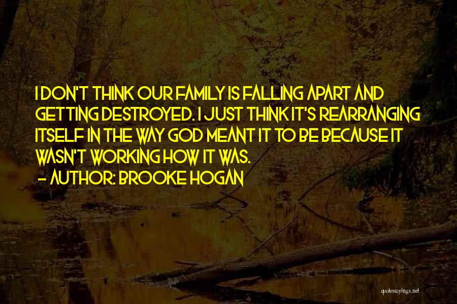 A Family Falling Apart Quotes By Brooke Hogan