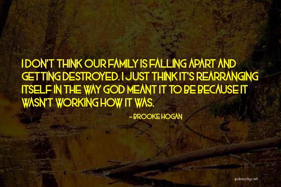 A Family Falling Apart Quotes By Brooke Hogan