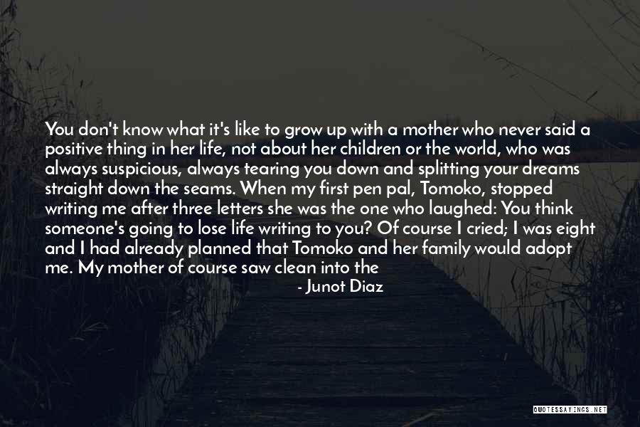 A Family Of Three Quotes By Junot Diaz