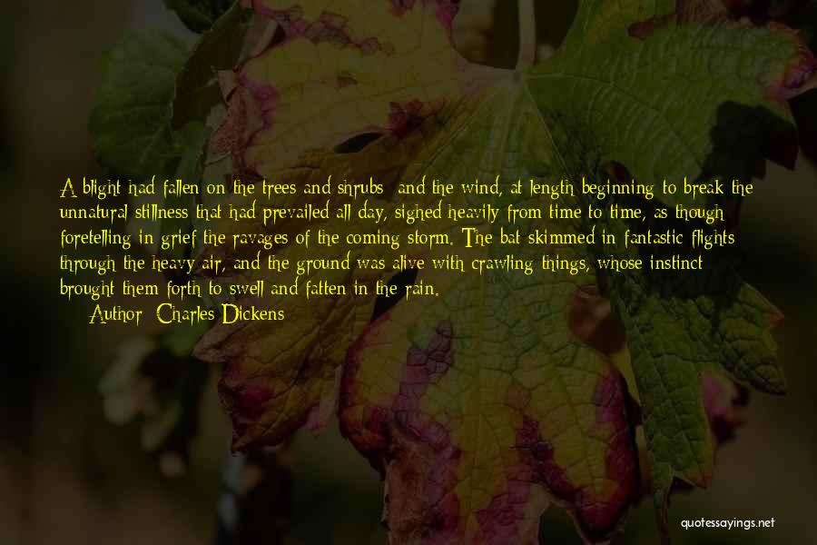 A Fantastic Day Quotes By Charles Dickens