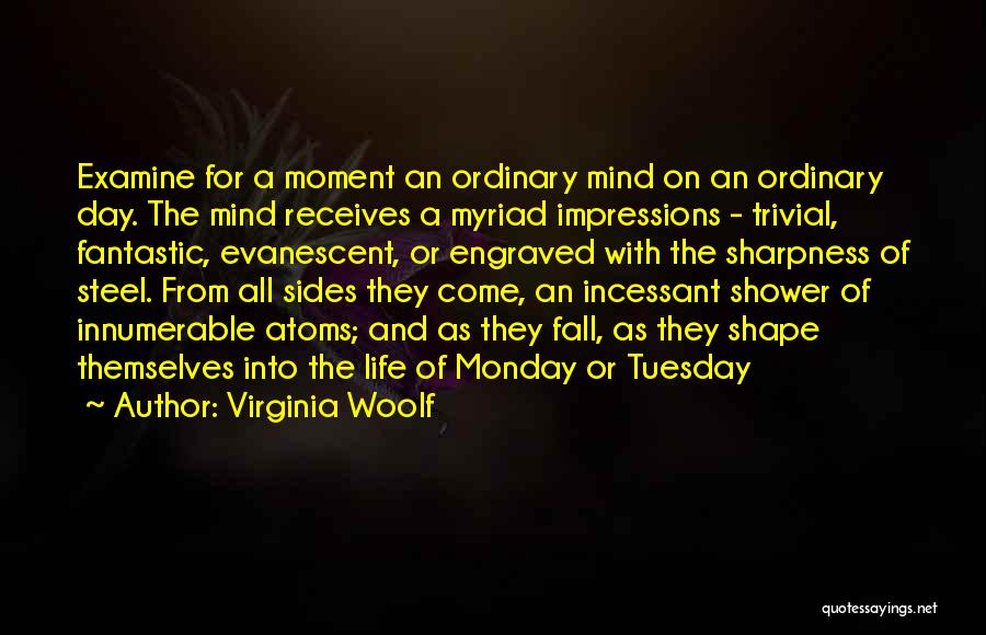 A Fantastic Day Quotes By Virginia Woolf