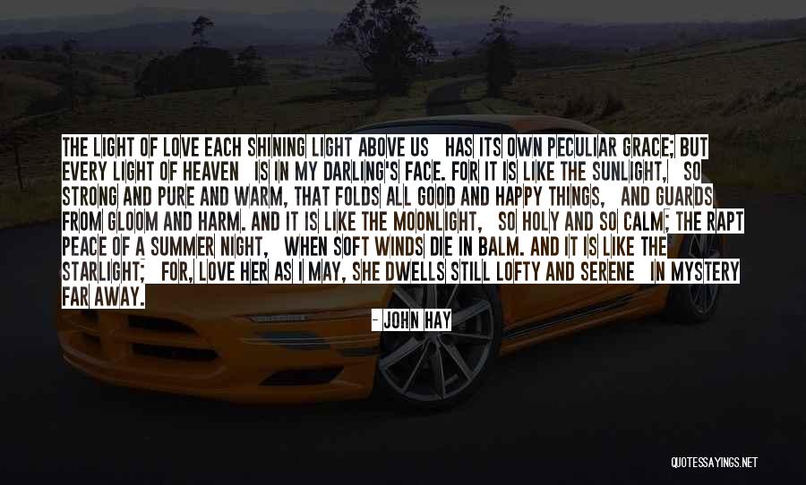 A Far Away Love Quotes By John Hay