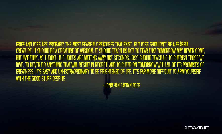 A Far Away Love Quotes By Jonathan Safran Foer