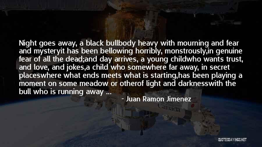 A Far Away Love Quotes By Juan Ramon Jimenez