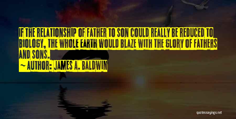 A Father And Son Relationship Quotes By James A. Baldwin