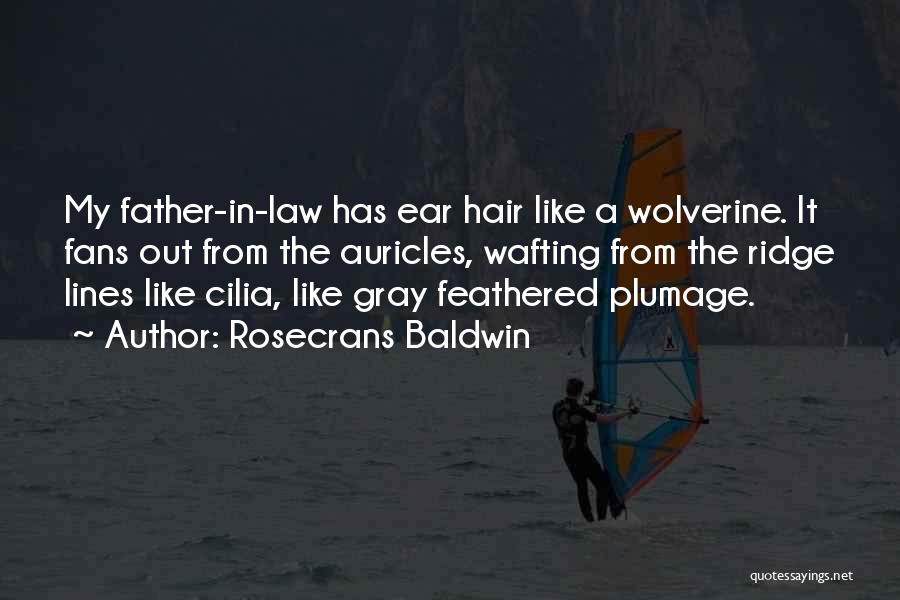 A Father In Law Quotes By Rosecrans Baldwin