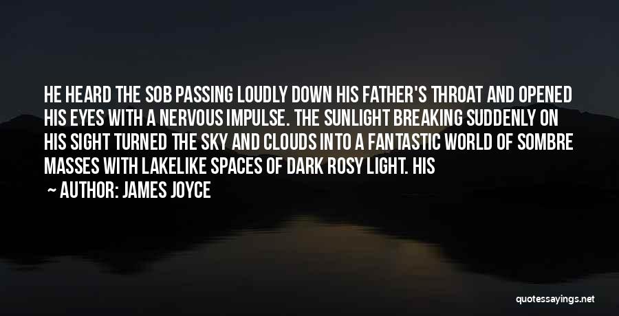 A Father Passing Quotes By James Joyce