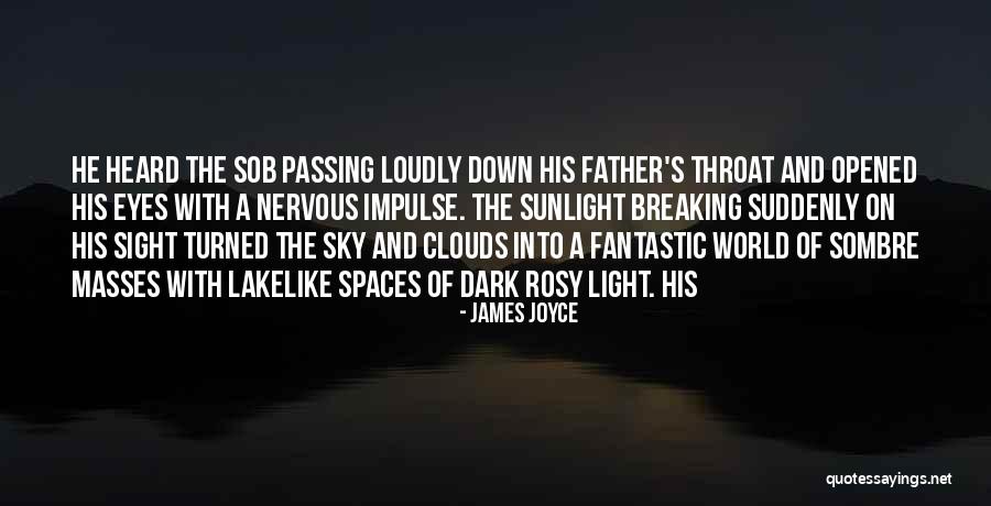 A Father Passing Quotes By James Joyce