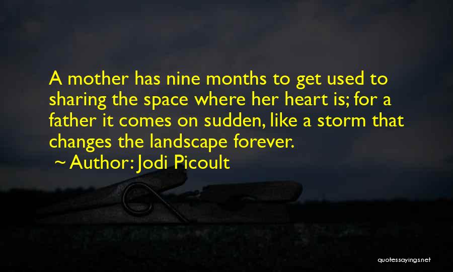 A Father Quotes By Jodi Picoult