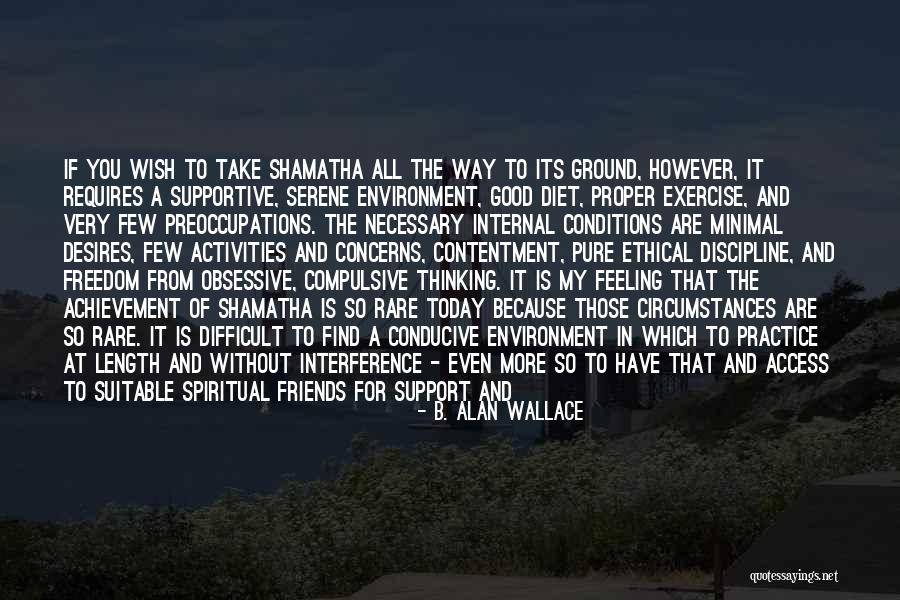 A Few Good Friends Quotes By B. Alan Wallace A Few Good Friends Quotes By B. Alan Wallace
