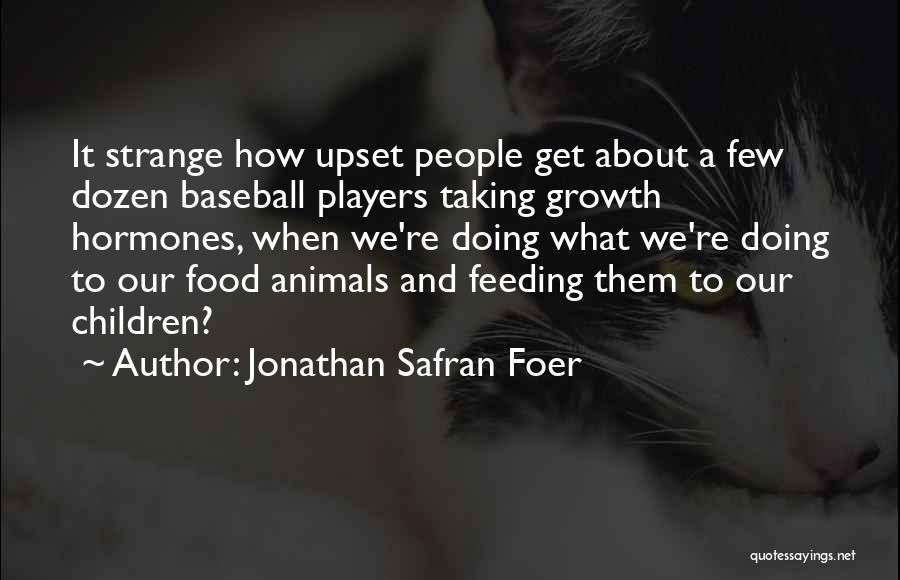 A Few Quotes By Jonathan Safran Foer