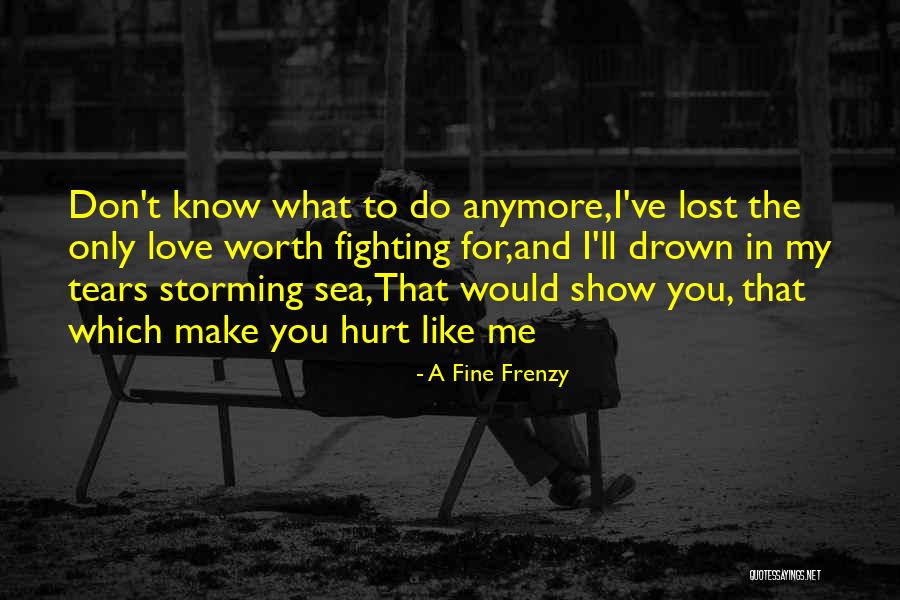 A Fine Frenzy Quotes 2007577