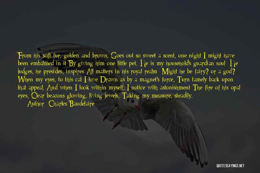 A Fire Quotes By Charles Baudelaire