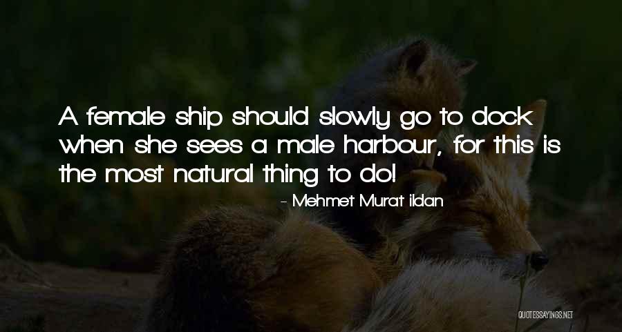 A Five Minute Life Quotes By Mehmet Murat Ildan A Five Minute Life Quotes By Mehmet Murat Ildan