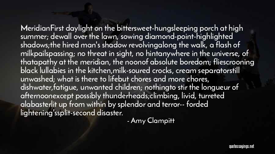 A Flash Quotes By Amy Clampitt