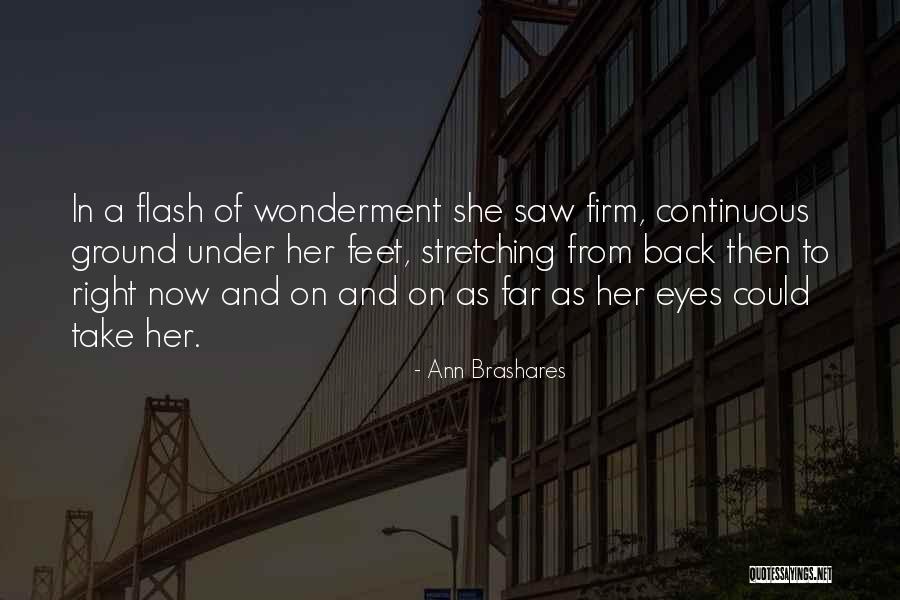 A Flash Quotes By Ann Brashares