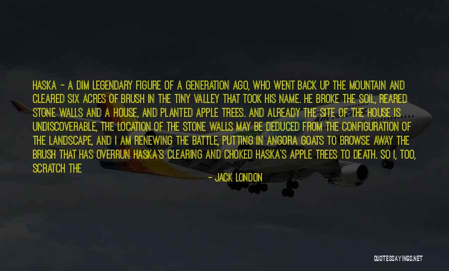 A Flash Quotes By Jack London