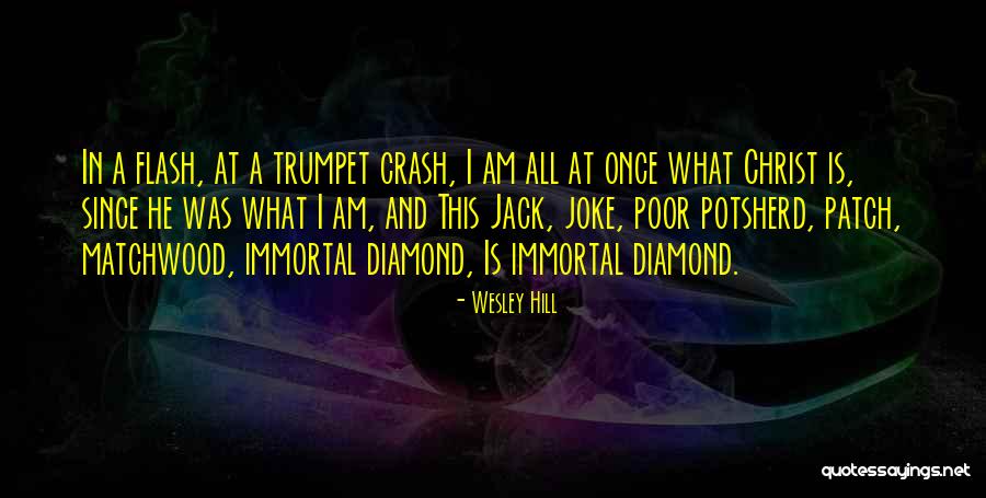 A Flash Quotes By Wesley Hill