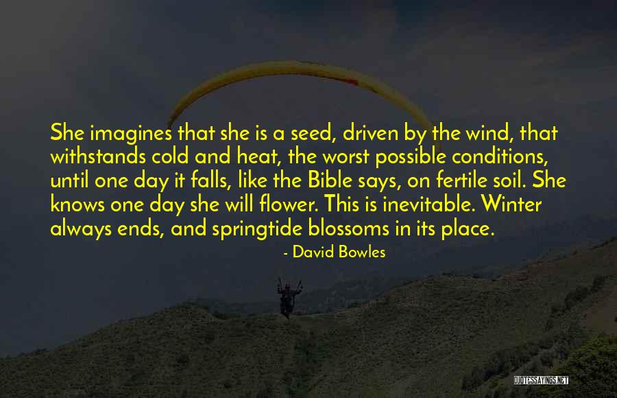 A Flower A Day Quotes By David Bowles A Flower A Day Quotes By David Bowles